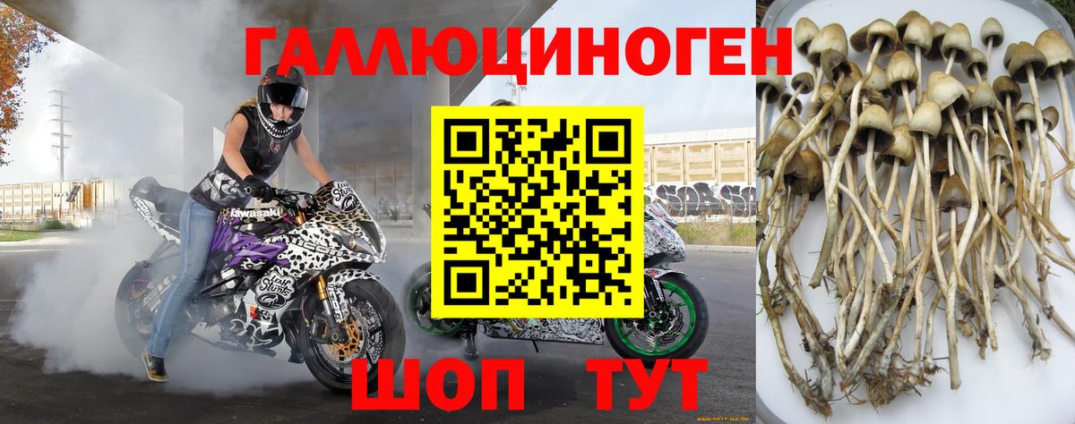 Тайшет  Псилоцибиновые грибы ЛСД  Галлюциногенные грибы мухоморы  Вход с VPN 